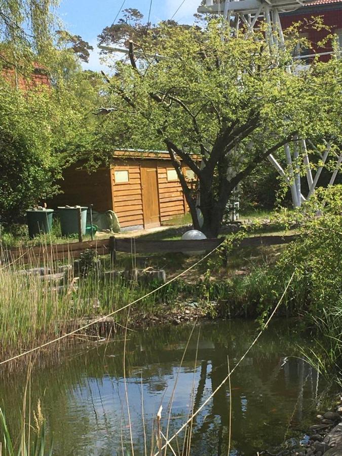 Ferienwohnung Schwalbennest am Meer Ostseebad Kühlungsborn Exterior foto