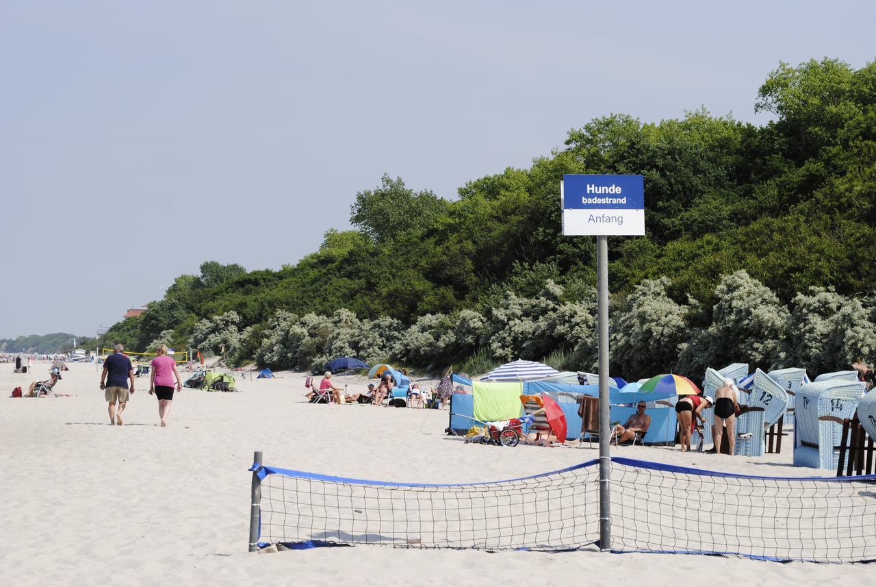 Ferienwohnung Schwalbennest am Meer Ostseebad Kühlungsborn Exterior foto